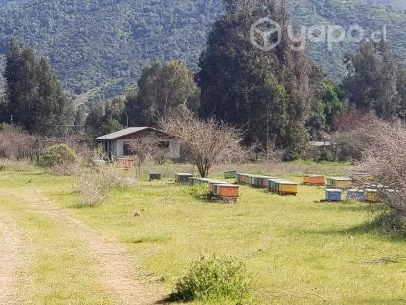 Terreno con casa