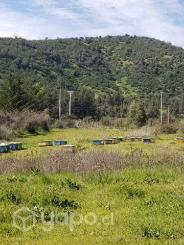 Terreno con casa