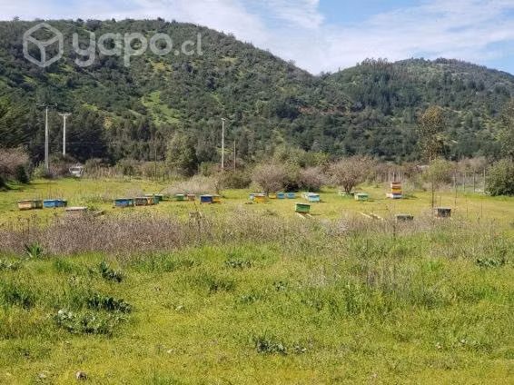 Terreno con casa