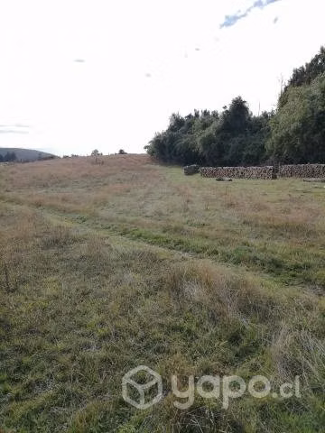 Campo en venta