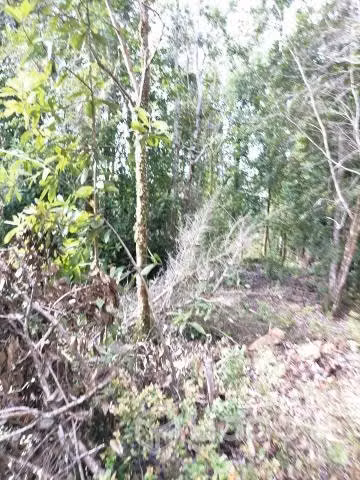 Campo en venta