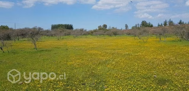 Venta de Parcela de 5000mts San Nicolás