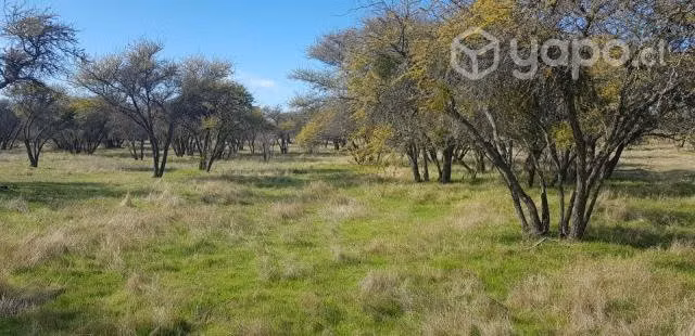 Venta de Parcela de 5000mts San Nicolás