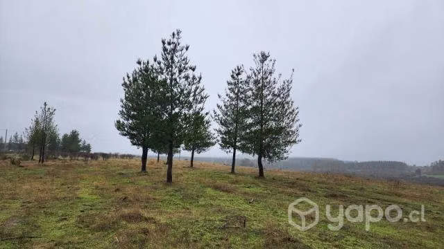 Venta de Parcela de 5000mts San Nicolás