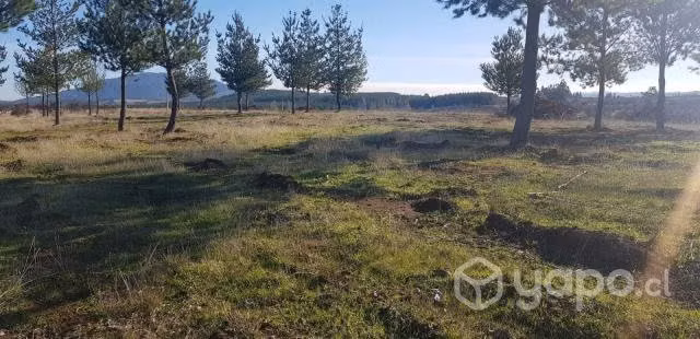 Venta de Parcela de 5000mts San Nicolás