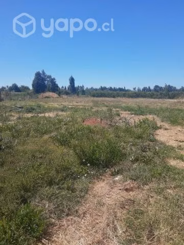 Arriendo propiedad