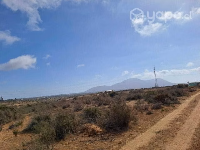 Parcela ecológica sector Tongoycillo
