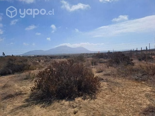 Parcela ecológica sector Tongoycillo