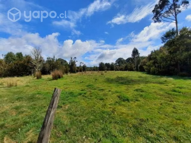 Puerto varas … - Imagen 4
