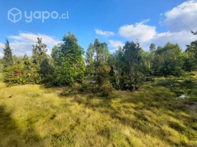 Puerto varas … - Imagen 2