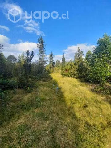 Puerto varas … - Imagen 6