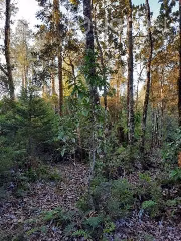 Puerto varas … - Imagen 7