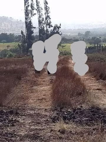 Terreno en Illapel