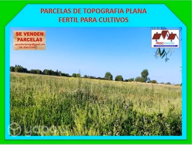 Vendo parcelas de agrado ñuble