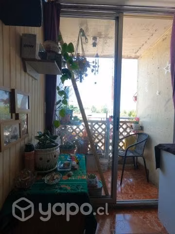 Dpto. amplio Condominio Juanita Aguirre acepto DS1