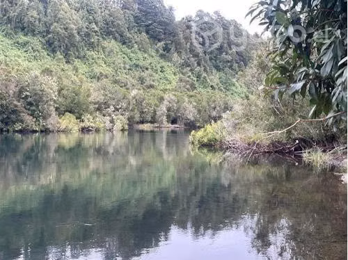 Orilla rio maullin …