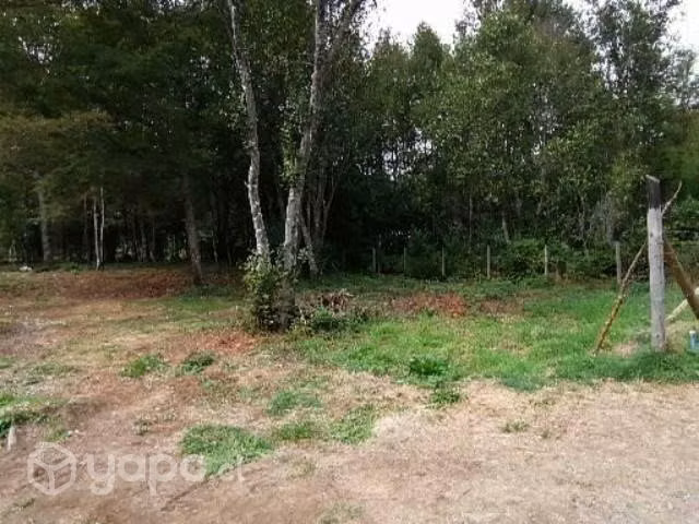 Sitio hermoso en Quetroleufu