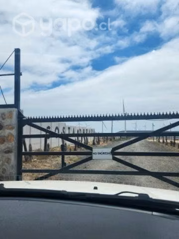 Vendo o permuto terreno 5000 mts rol propio en ova - Imagen 2
