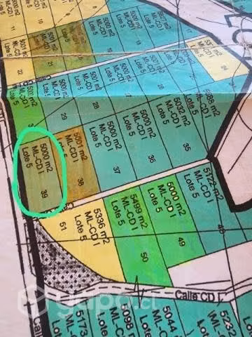 Vendo o permuto terreno 5000 mts rol propio en ova