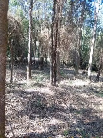 Terreno en Purey