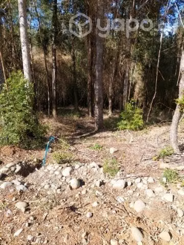 Terreno en Purey