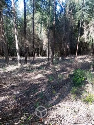 Terreno en Purey