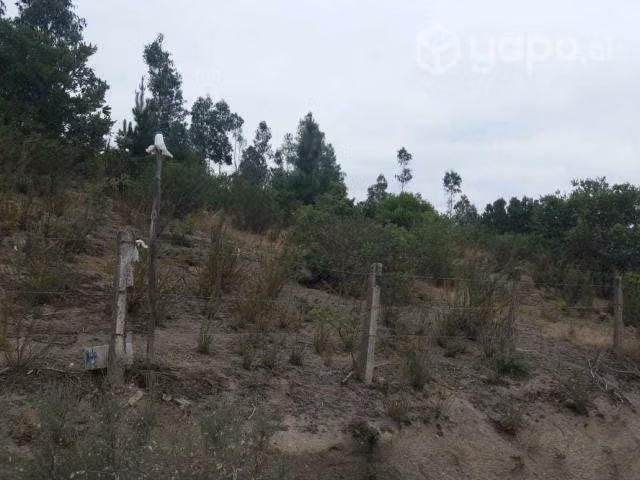 Fundo Santa Clara, Laguna Trupán