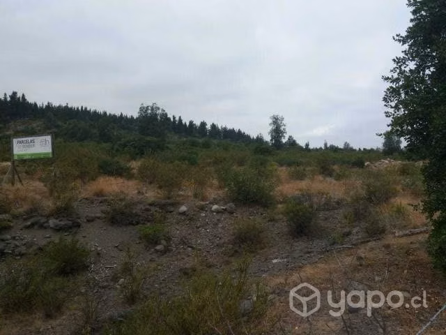 Fundo Santa Clara, Laguna Trupán