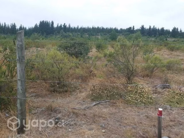 Fundo Santa Clara, Laguna Trupán