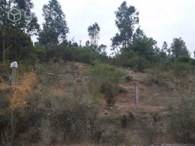 Fundo Santa Clara, Laguna Trupán