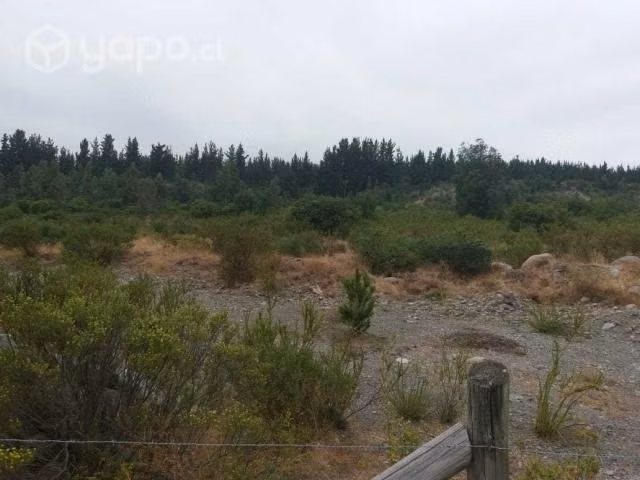 Fundo Santa Clara, Laguna Trupán