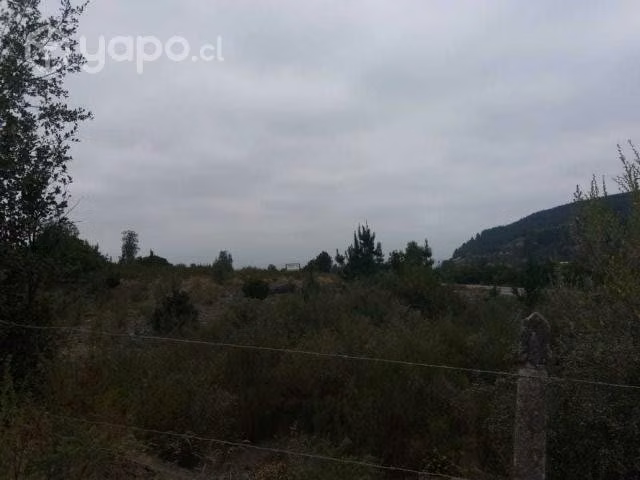 Fundo Santa Clara, Laguna Trupán