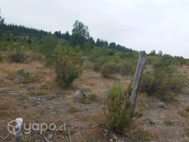 Fundo Santa Clara, Laguna Trupán