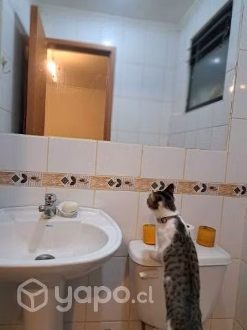 Propiedad, temuco, precio conversable - Imagen 7