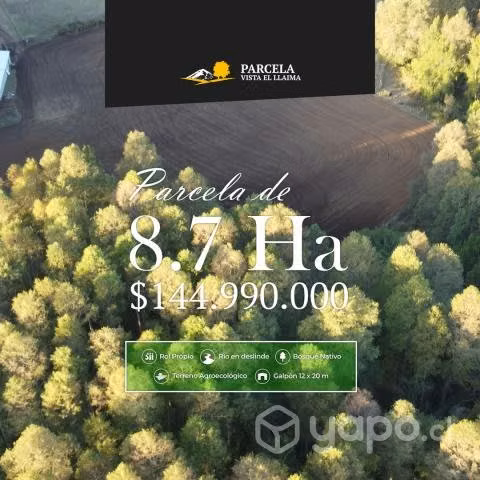 Parcela de 8.7 Hectáreas