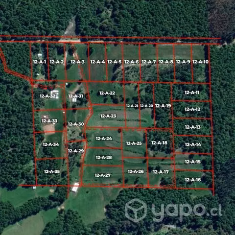 Parcela de 5000 m2