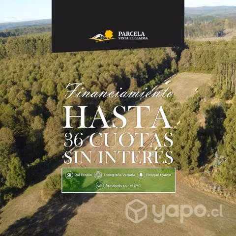 Parcela de 5000 m2