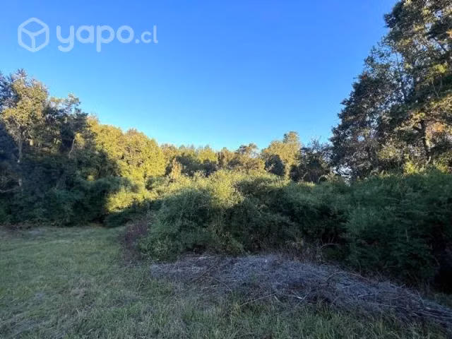 Parque mozart, punta larga …