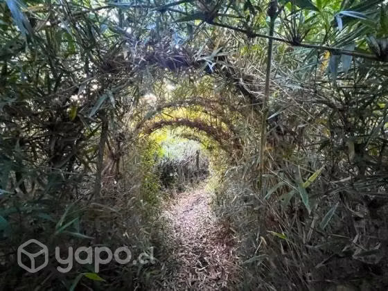Parque mozart, punta larga …
