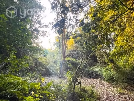 Parque mozart, punta larga …