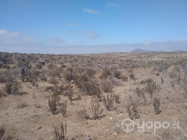 VENTA - Terreno primera linea sector el Romeral - LA SERENA - Imagen 6
