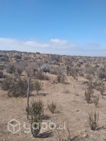 VENTA - Terreno primera linea sector el Romeral - LA SERENA - Imagen 3