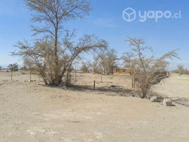 Terreno en Arriendo - Sector El Carmelo, Pueblo La