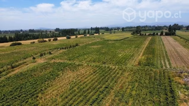 PARCELA, SAN JAVIER, MAULE, 12 Ha
