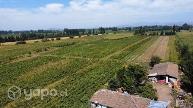 PARCELA, SAN JAVIER, MAULE, 12 Ha