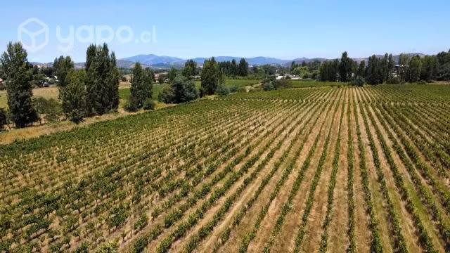 PARCELA, SAN JAVIER, MAULE, 12 Ha