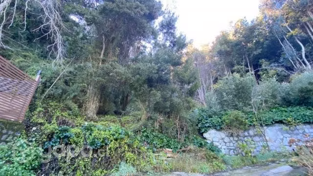 Terreno En Av. Francesa, Pedro De Valdivia