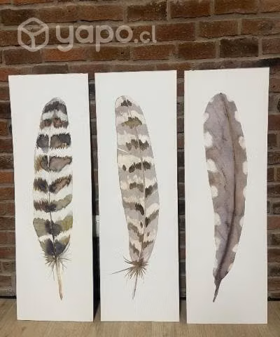 Laminas, impresiones, de plumas para enmarcar
