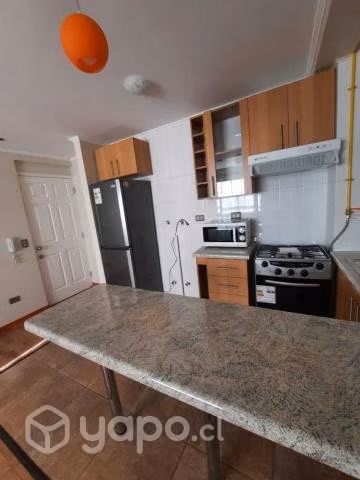 Arriendo Depto Nuevo 1D+1B Pelluco