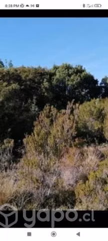 Venta Parcelas Chiloe Ecoparque